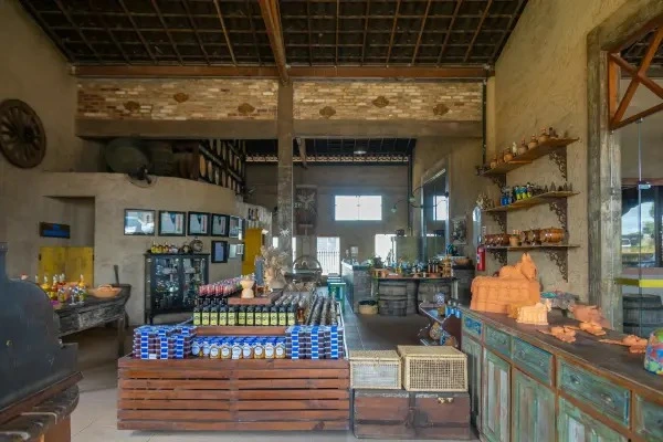 Imagem da cidade de Campo Alegre no estado de AL